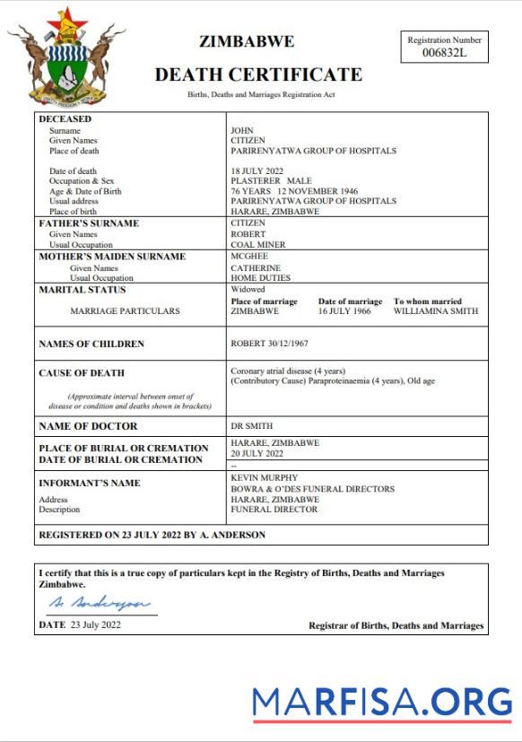 Blank Zimbabwe vital record death certificate Word and PDF template